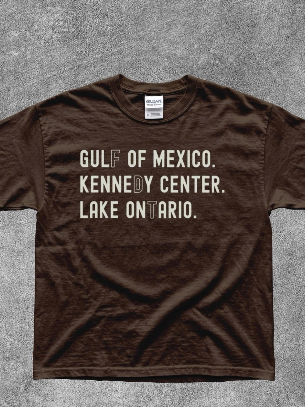 Gildan Brown Gulf of Mexico - Lake Ontario Graphic T-shirt
